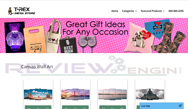 T-REX Mega Store Training