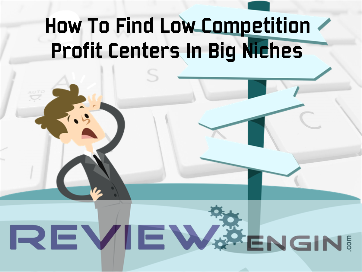 How To Find Low Competition Profit Centers In Big Niches