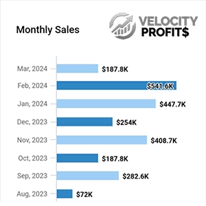 Multiple Income Streams